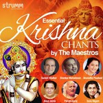 Essential Krishna Chants by the Maestros - Pt. Sanjeev Abhyankar Song Download