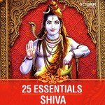 25 Essentials - Shiva - Pt. Sanjeev Abhyankar Song Download